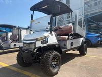//irrorwxhjmkjlk5p.ldycdn.com/cloud/pqBplKqjlrSRqlmkomjlkp/2-seats-cart-with-cargo-cage.jpg