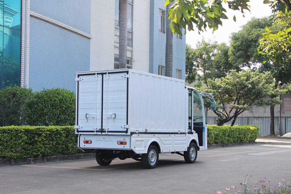 2 Seats Electric Cargo Van with Iron Cargo Body