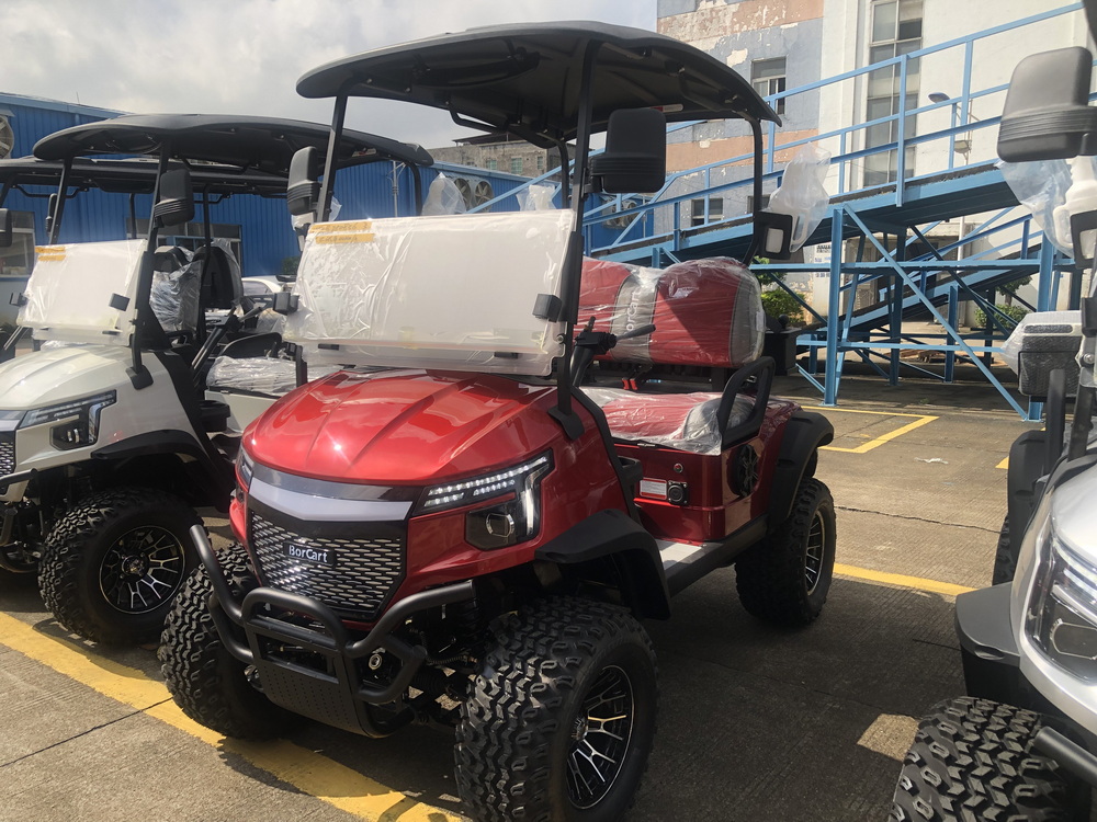 2 Passengers Golf Cart for Golf Course (1)