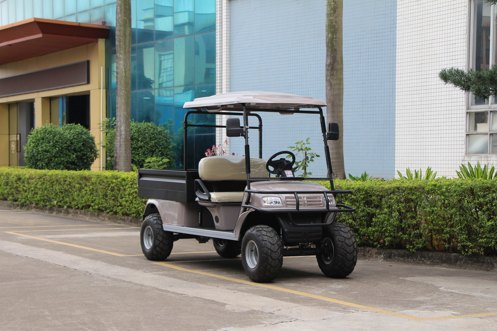 2 Seats Electric Cargo Truck with Iron Box